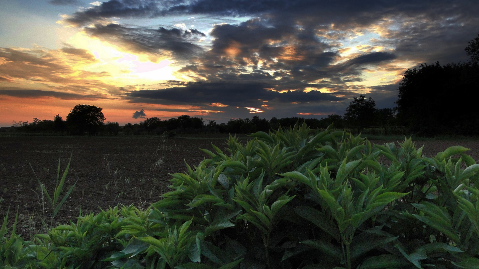 Tramonto campagnolo