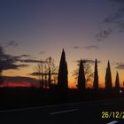 tramonto con cipressi