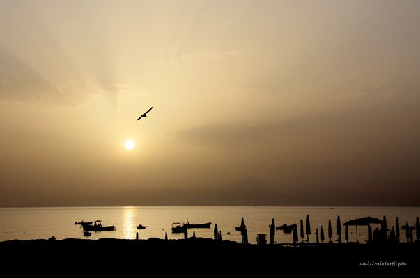 tramonto con gabbiano