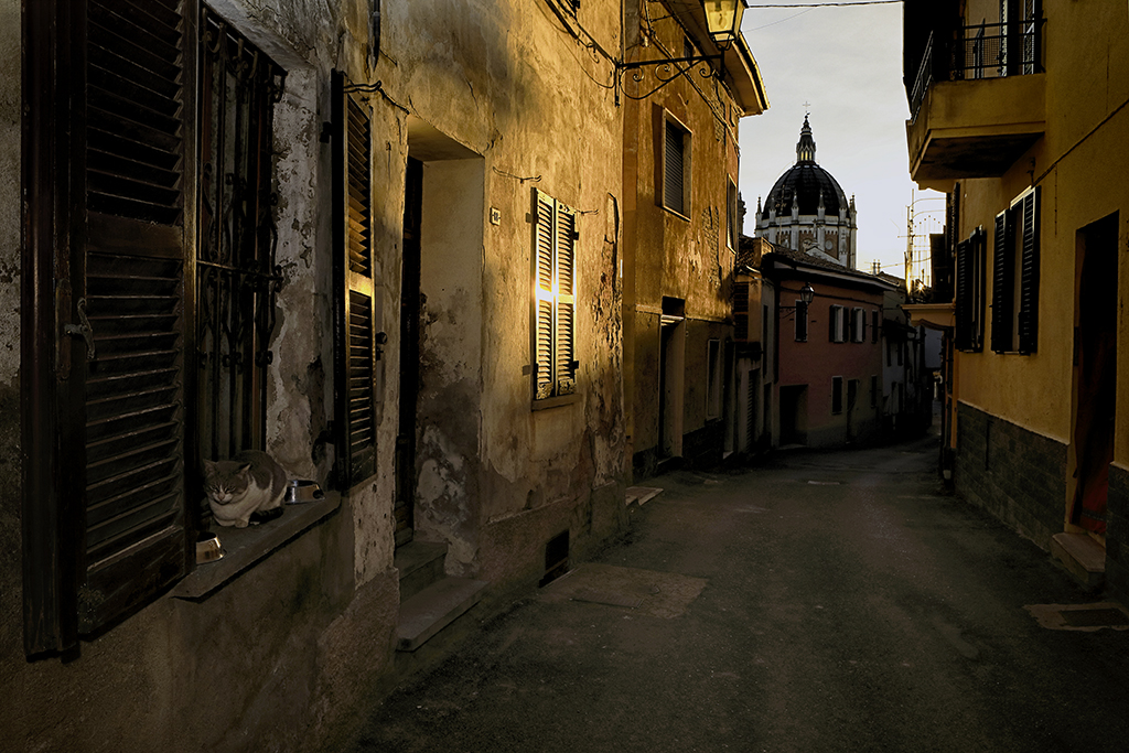 tramonto con gatto a Fontanile