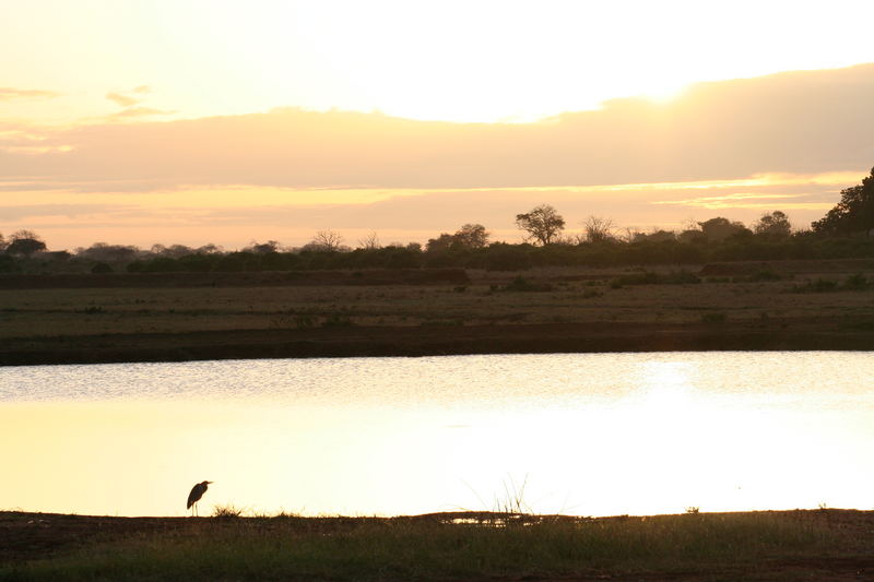 Tramonto dal Kenya