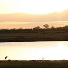 Tramonto dal Kenya