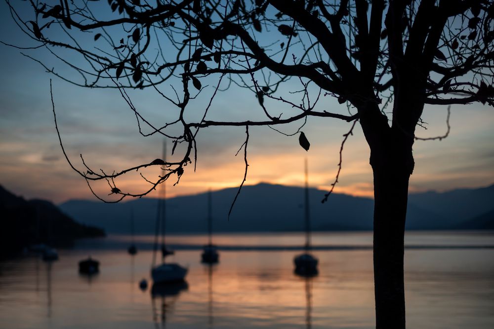 Tramonto dal lungolago