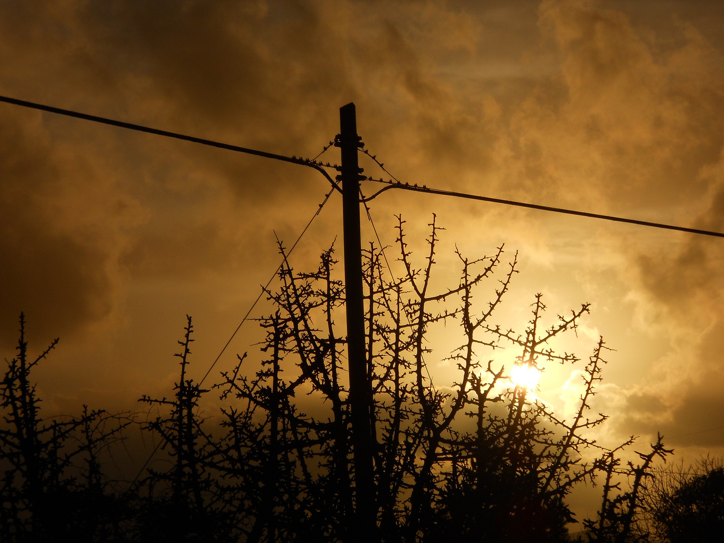 Tramonto del Cristo in croce Olmedo ss