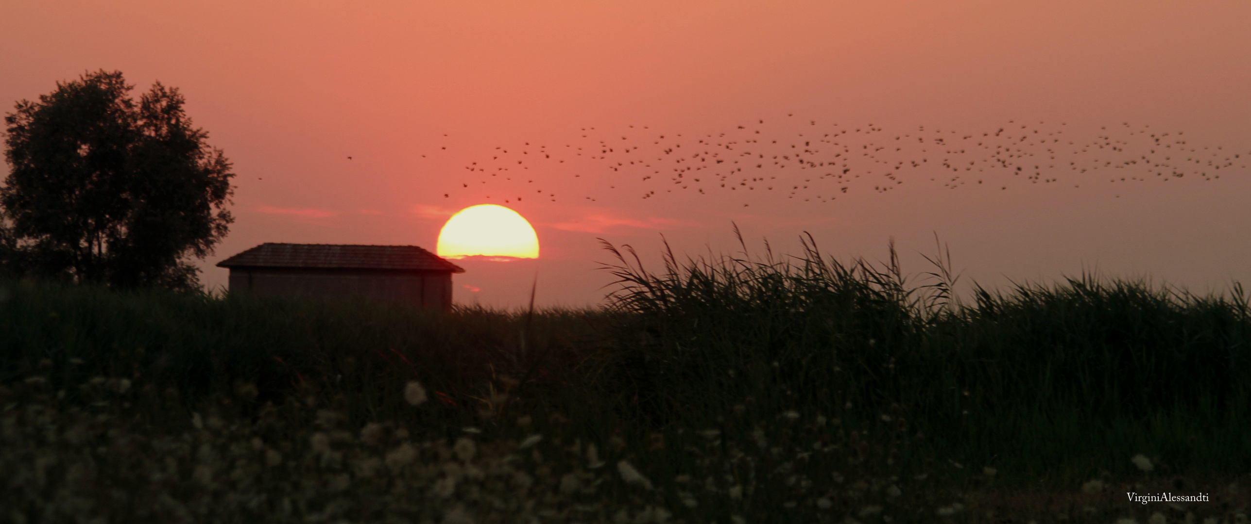 TRAMONTO DI FUOCO