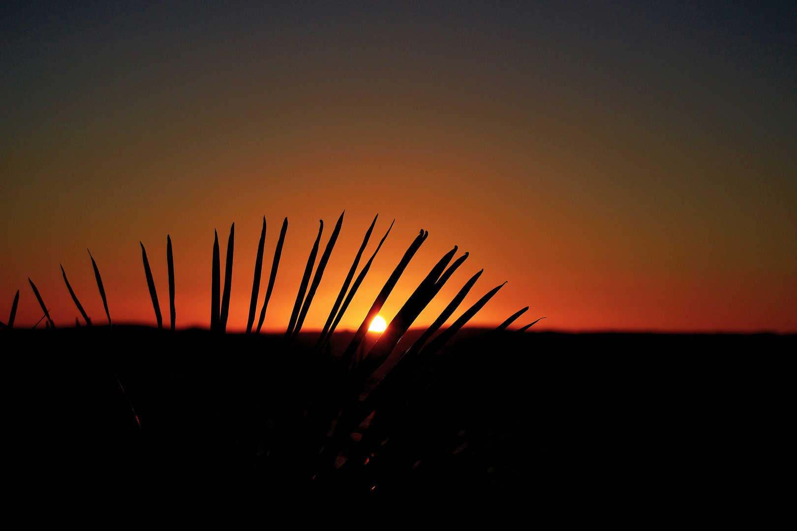 tramonto di fuoco