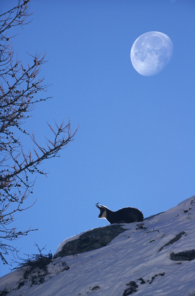 Tramonto di luna.