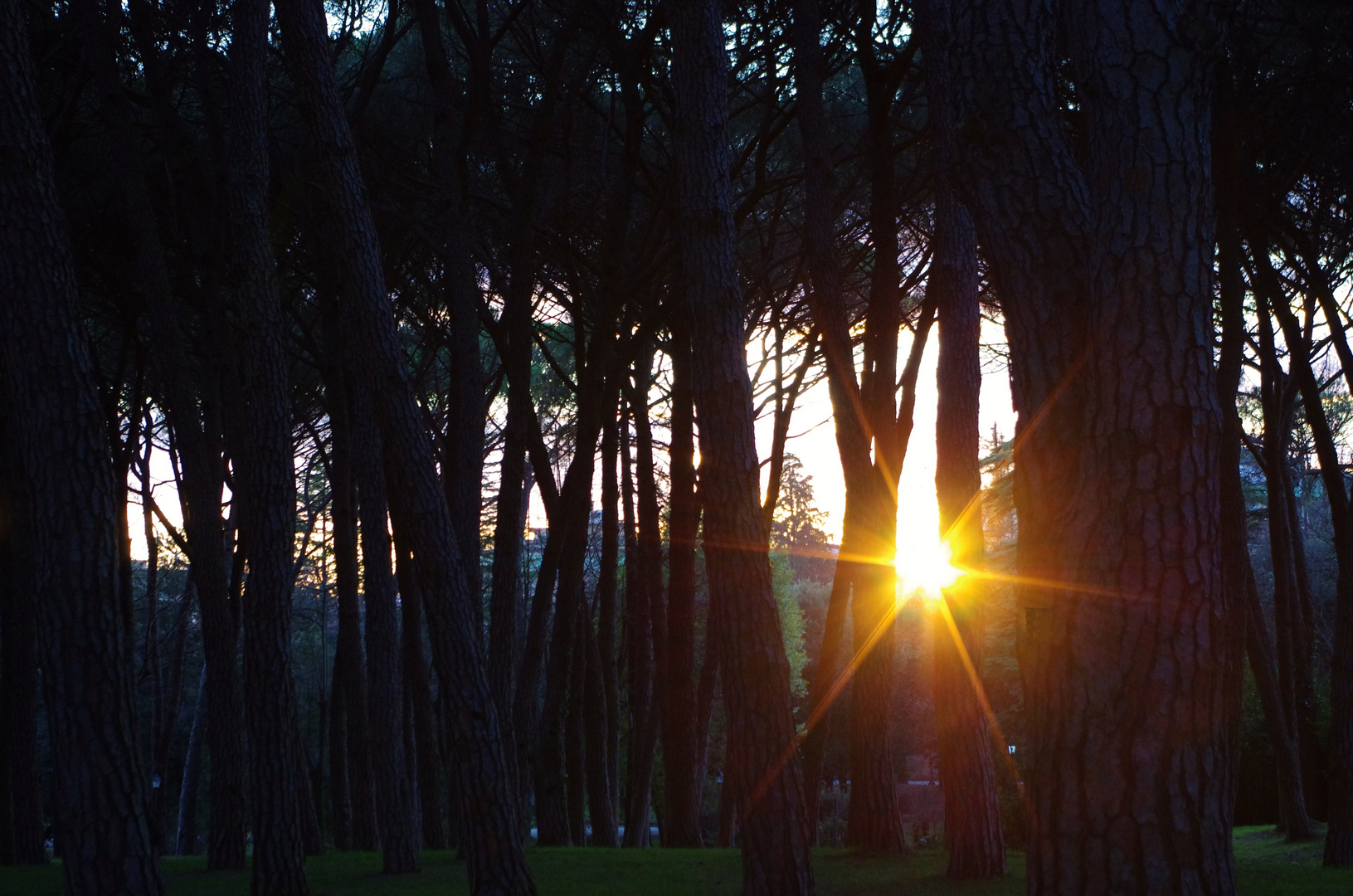 tramonto di una stella...