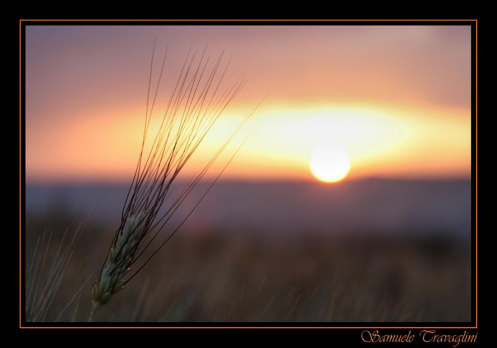 Tramonto e dintorni