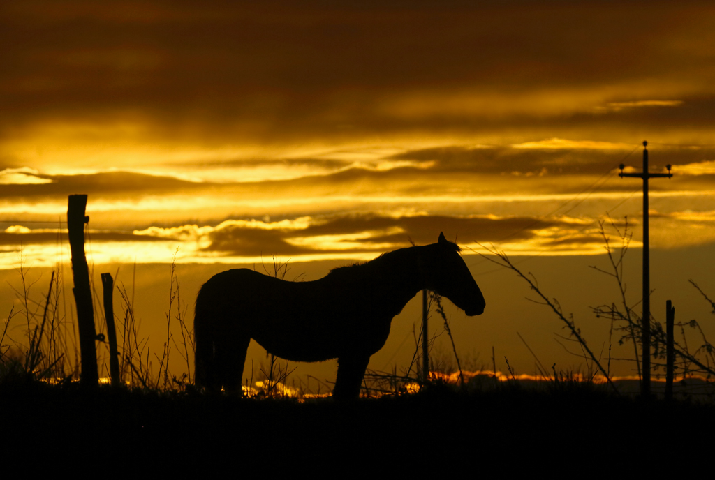 tramonto equino