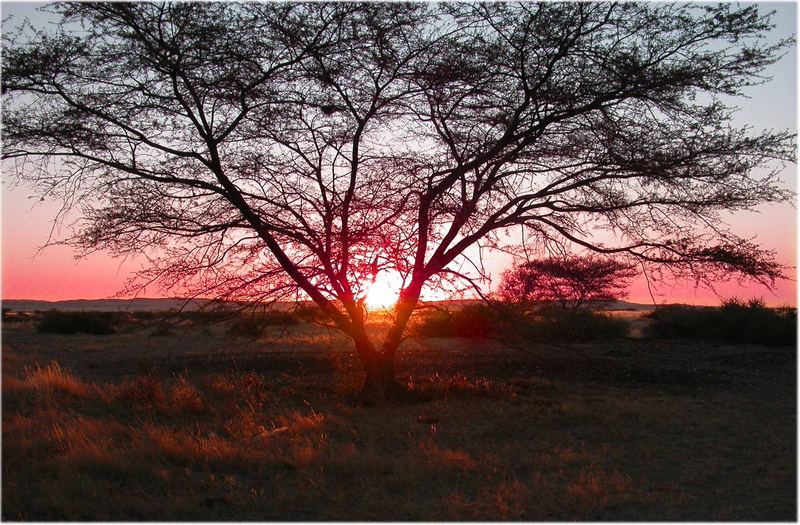 tramonto in africa