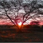 tramonto in africa