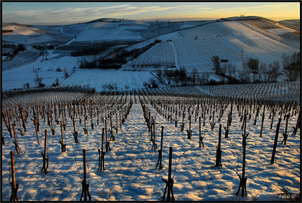 Tramonto in bianco