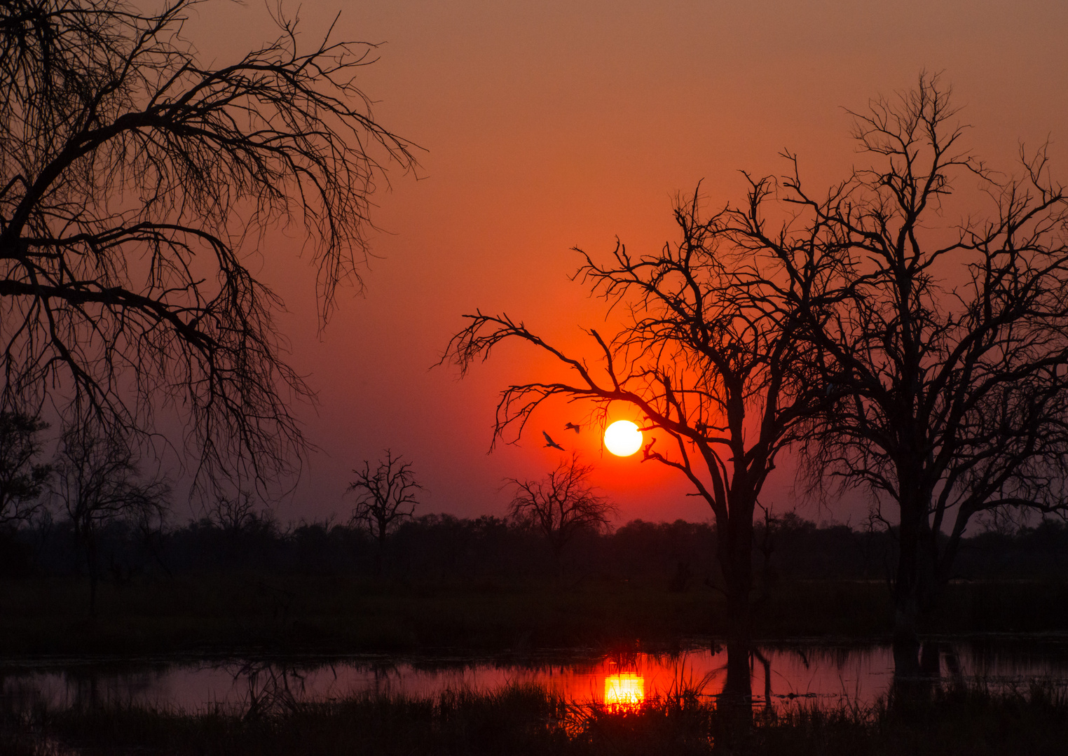 Tramonto in Botswana