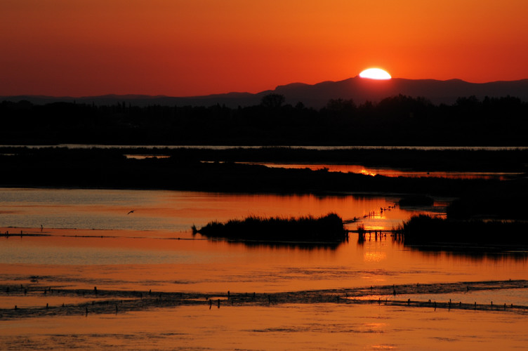 Tramonto in Camargue