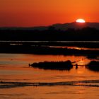 Tramonto in Camargue