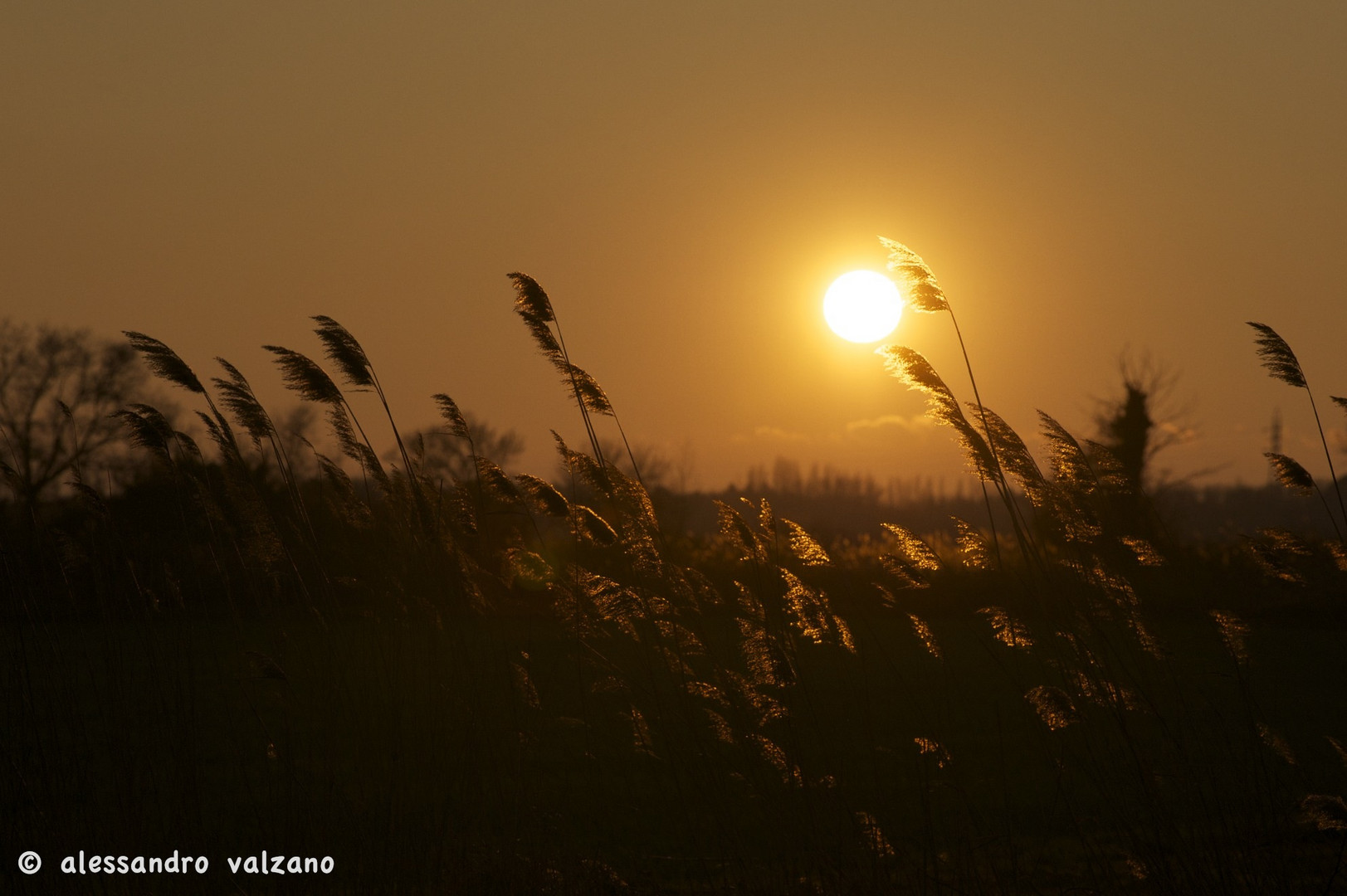 Tramonto in Camargue