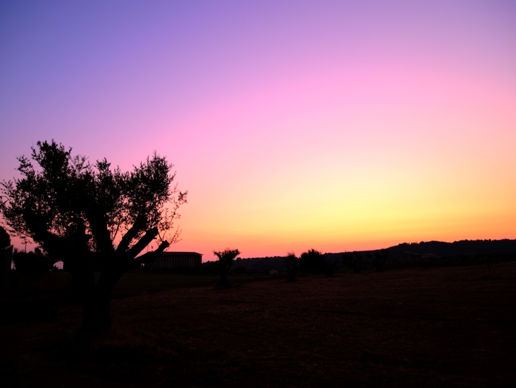 Tramonto in campagna