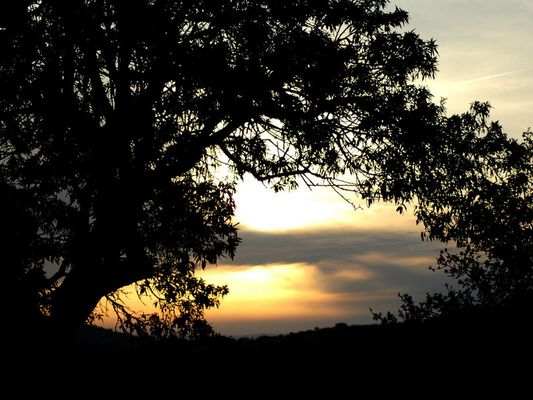 Tramonto in campagna