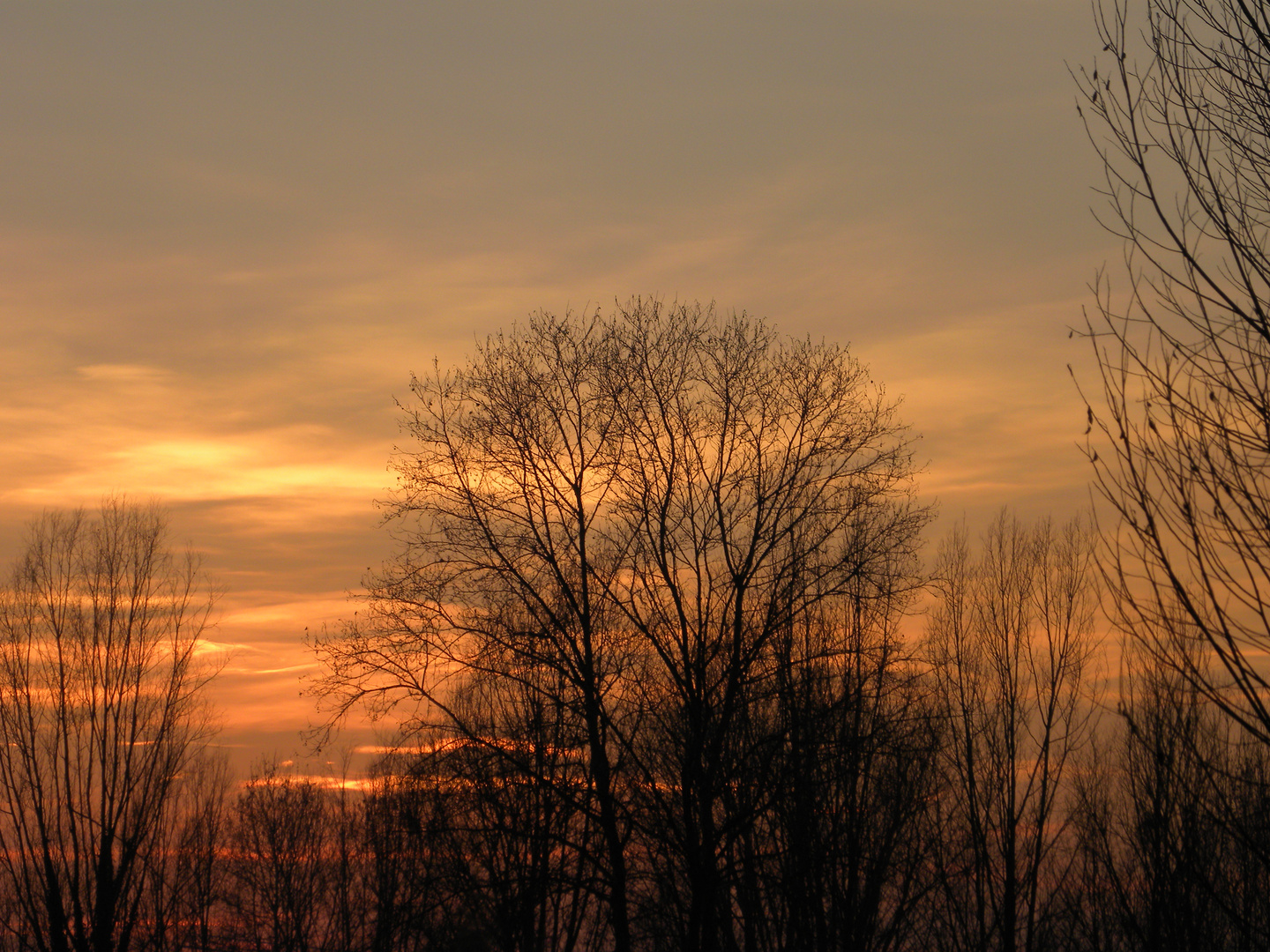 tramonto in campagna 3