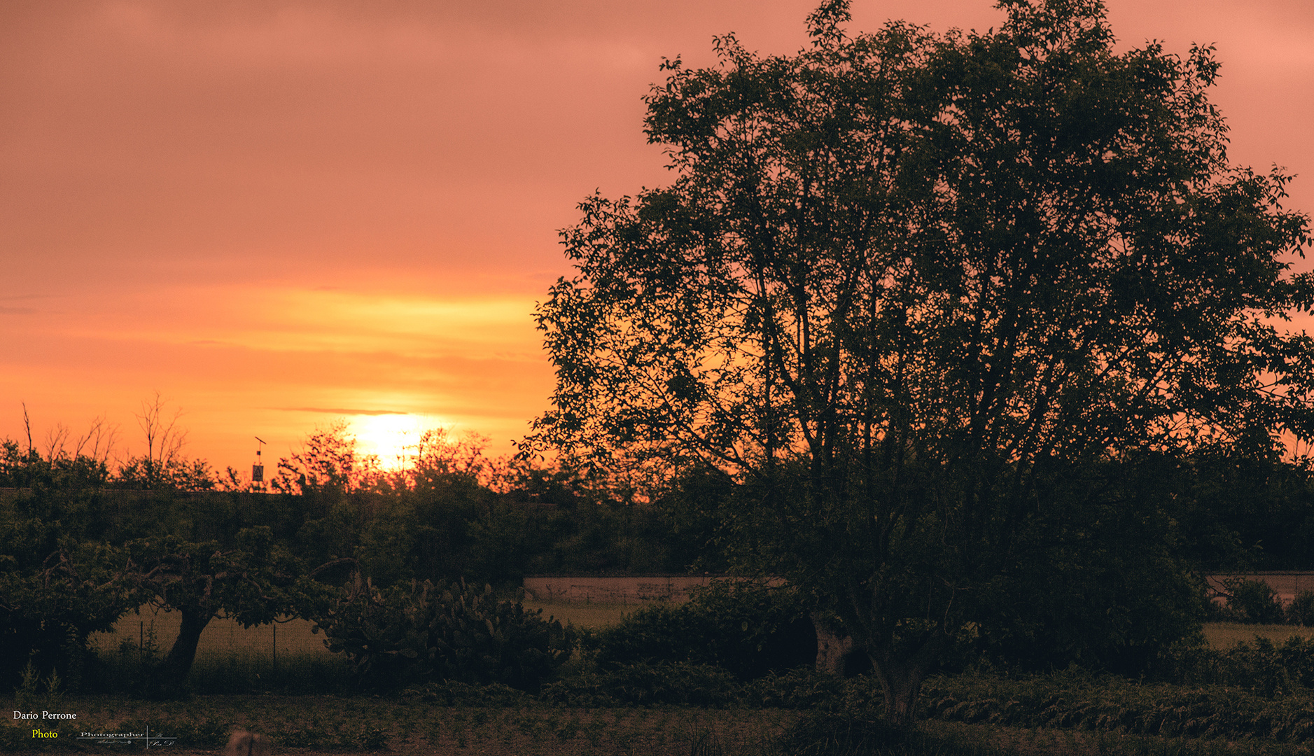 Tramonto in campagna