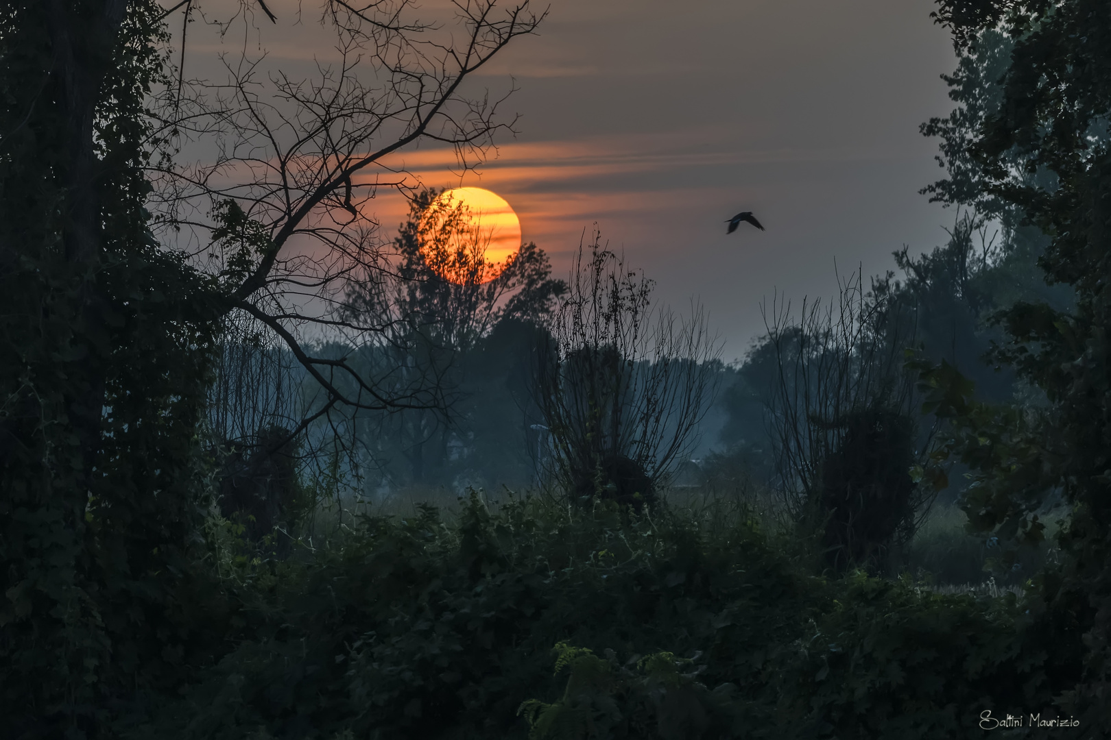 Tramonto in campagna 