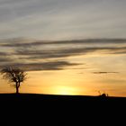 Tramonto in campagna