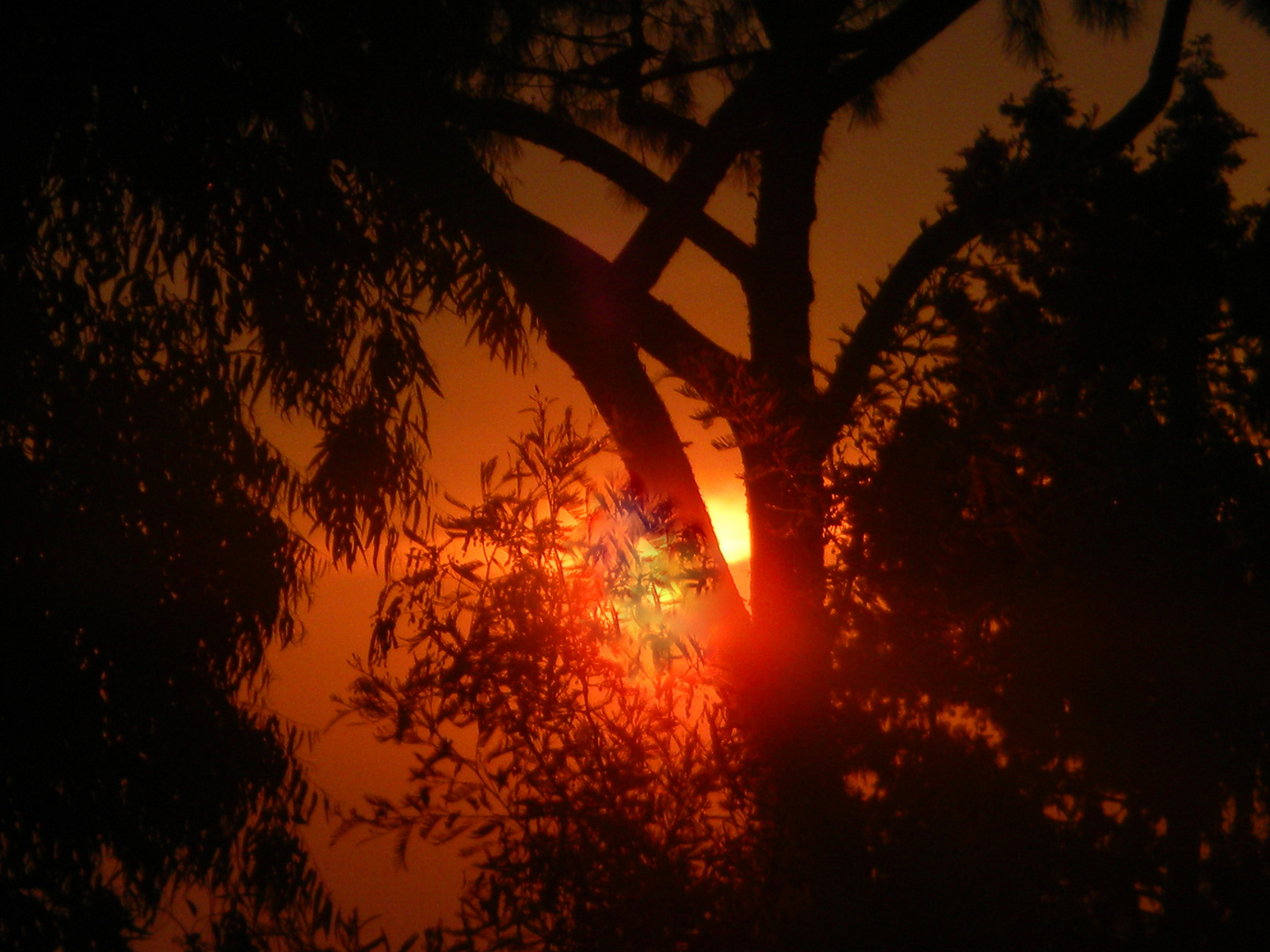 Tramonto in città