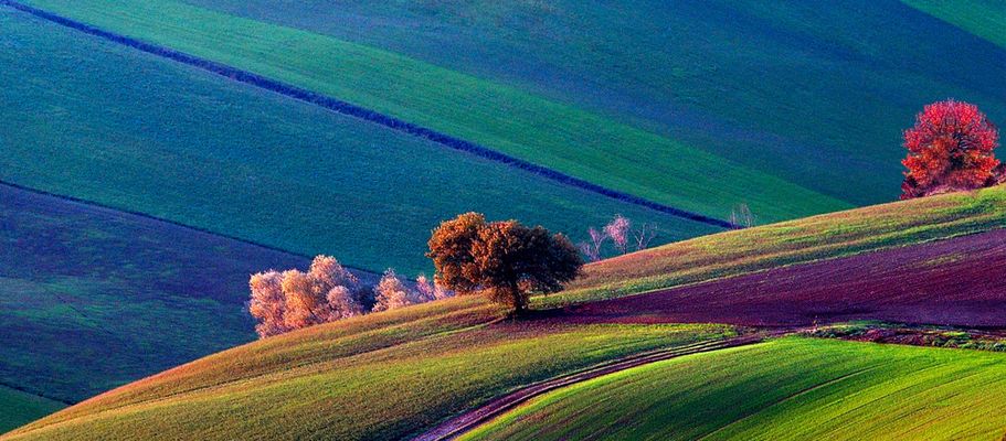 tramonto in collina 2