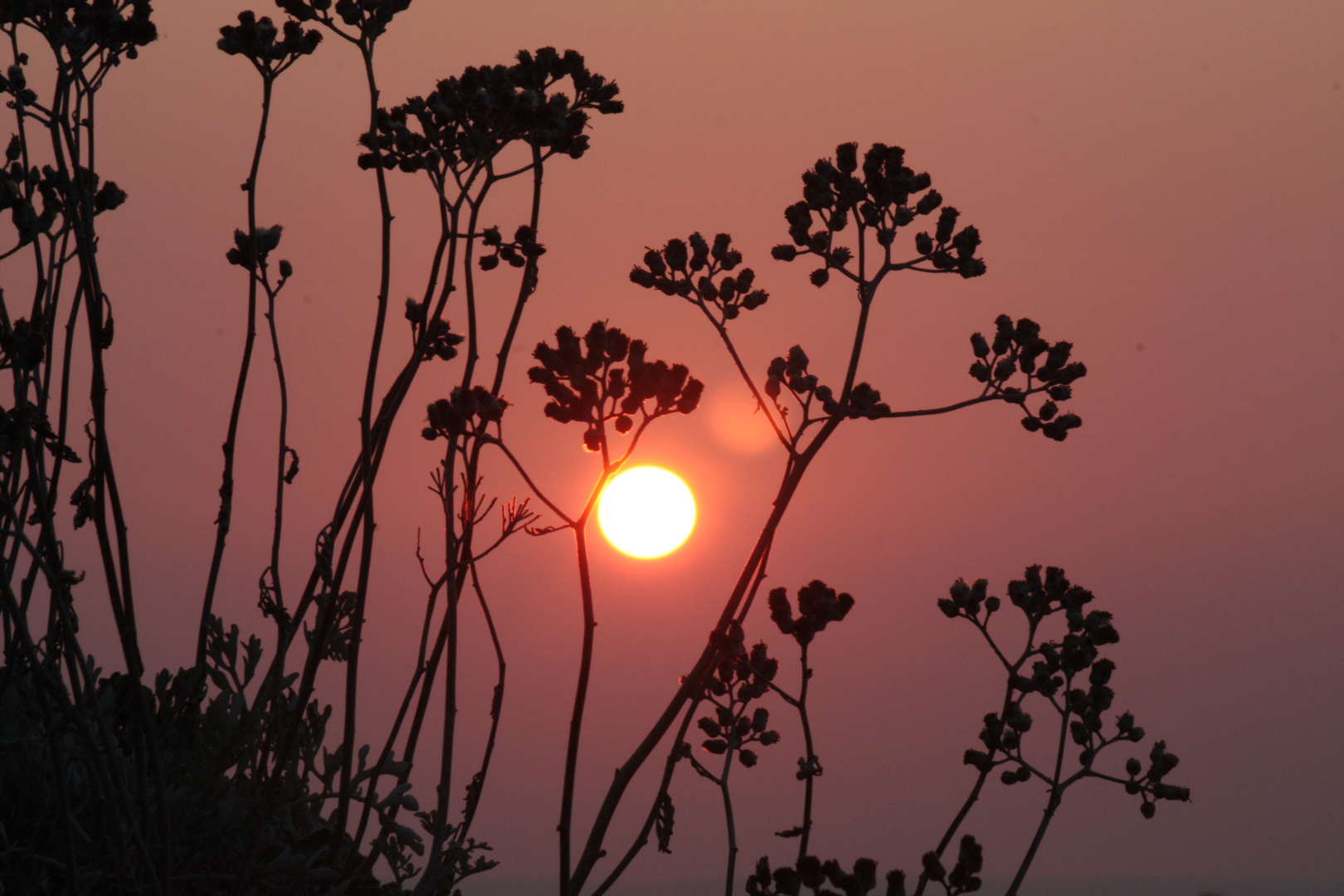 Tramonto in controluce