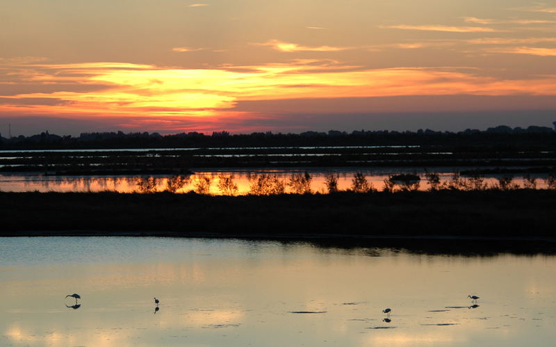 tramonto in golena sul Po