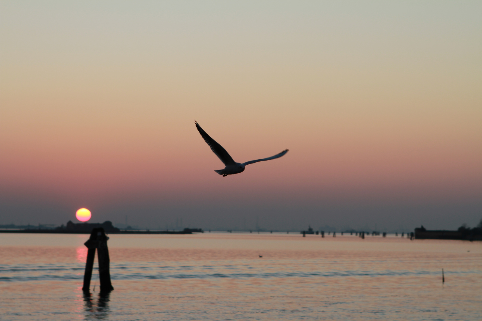 Tramonto in Laguna