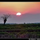 Tramonto in Lomellina