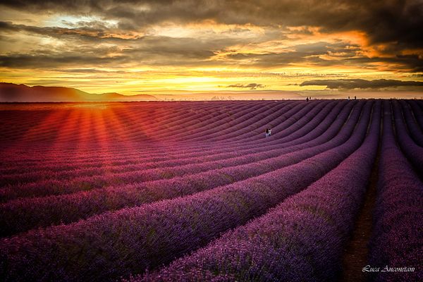 Tramonto in Provenza