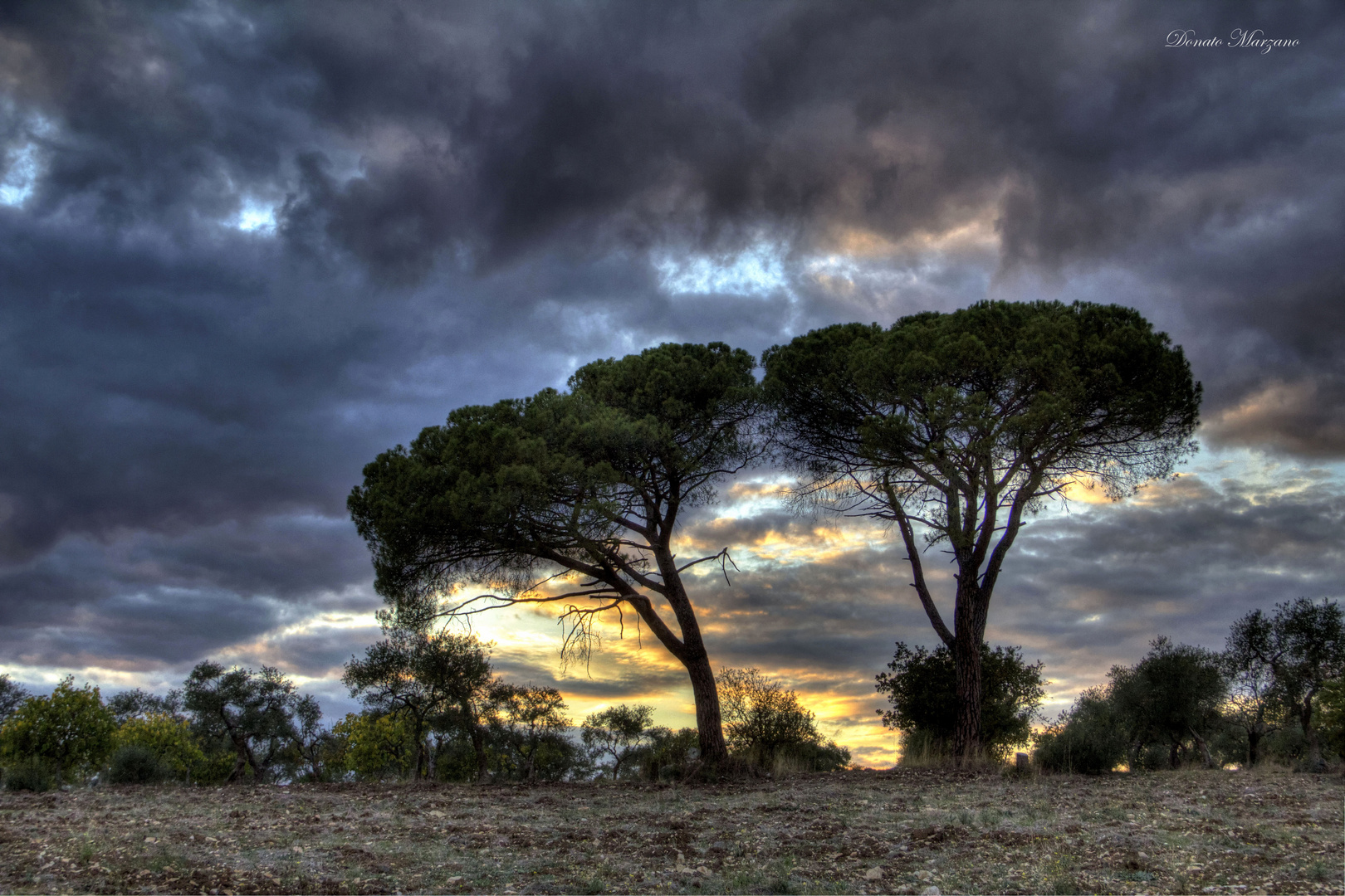 Tramonto in Puglia