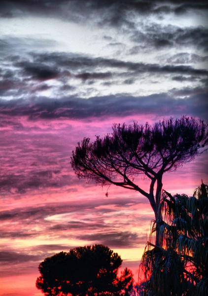 tramonto in rosa