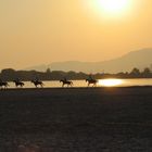 TRAMONTO IN SARDEGNA