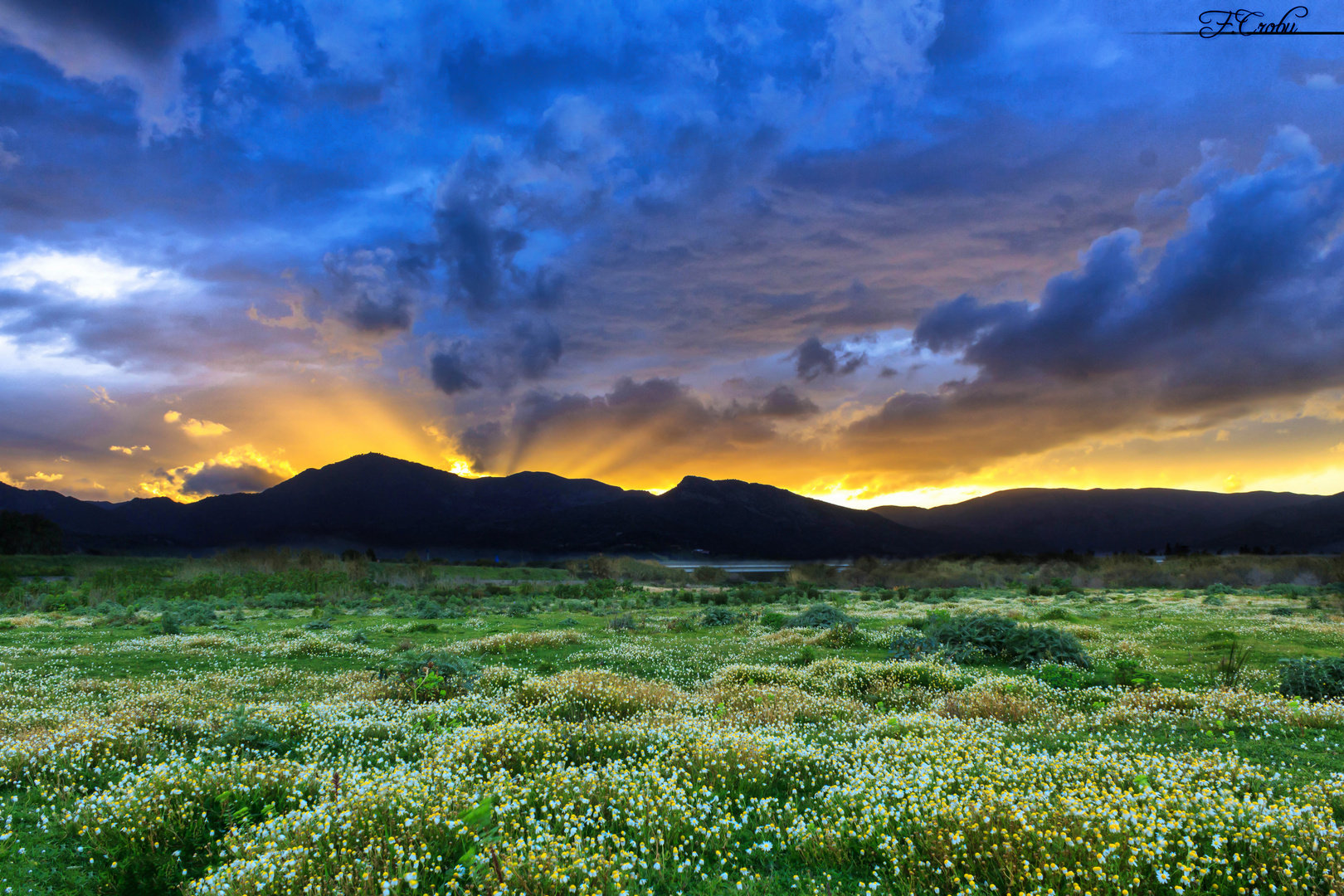 Tramonto in Sardegna