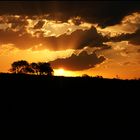 Tramonto in una giornata sudafricana