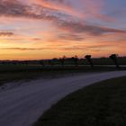 Tramonto in val di Chiana