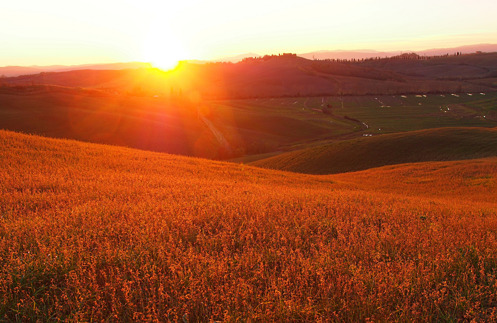 tramonto infucato fiery sunset