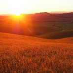 tramonto infucato fiery sunset