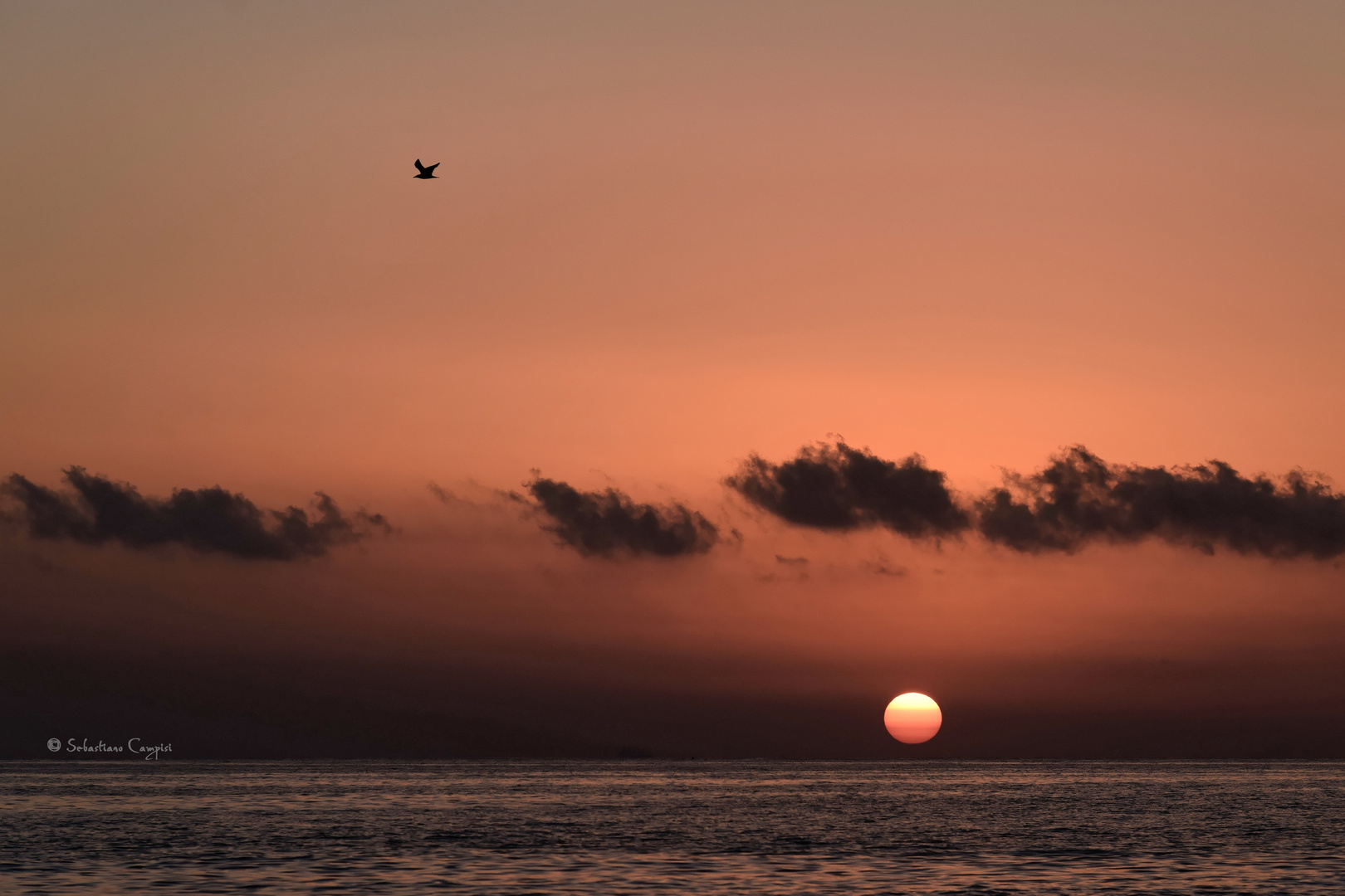 Tramonto isola delle correnti 4 ott 16 (28)_DxO-1f