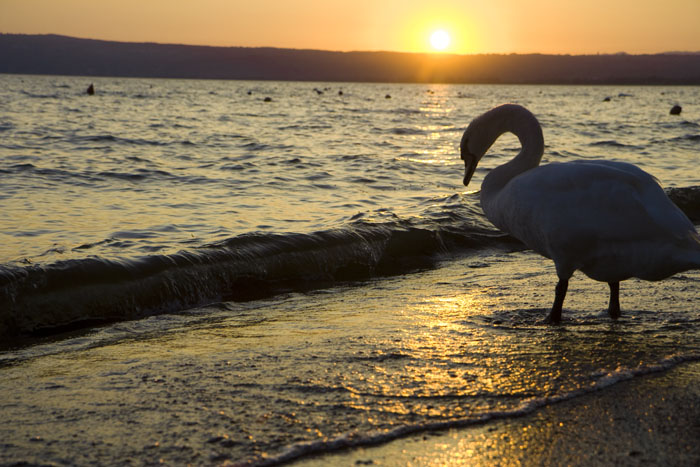 tramonto Lago di Bolsena