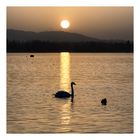 Tramonto, lago di Varese