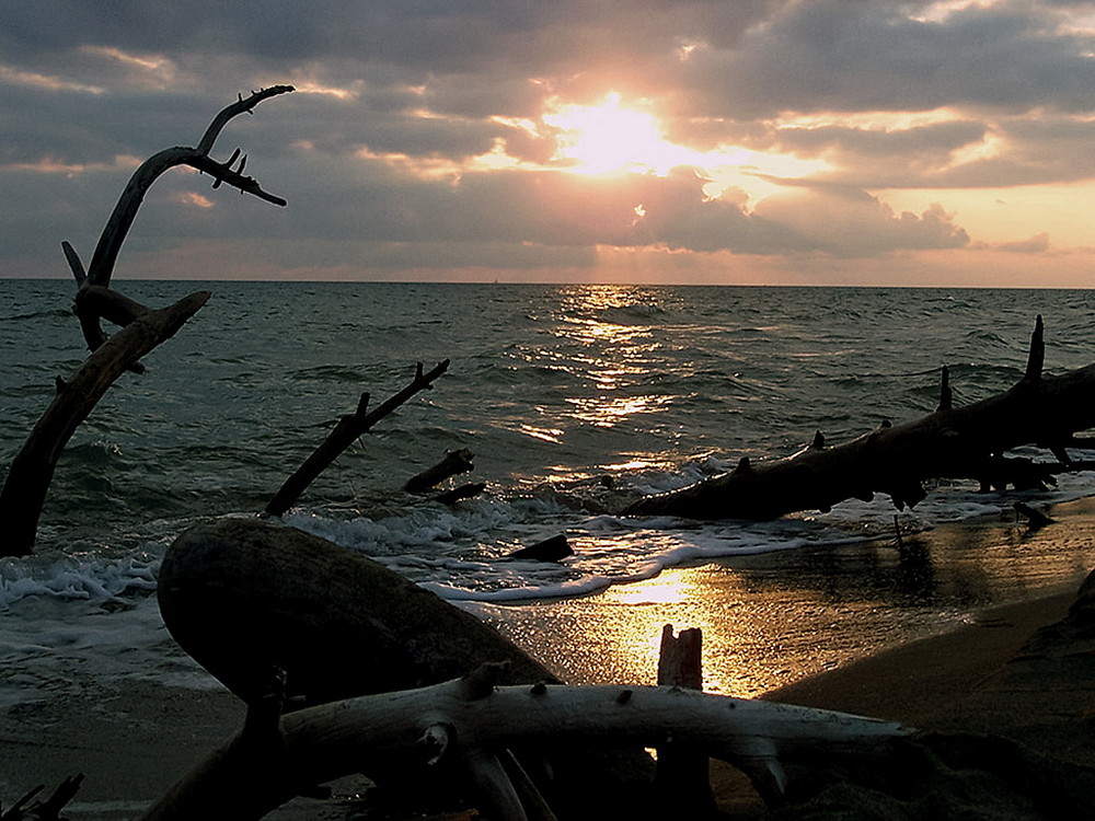 Tramonto maremmano