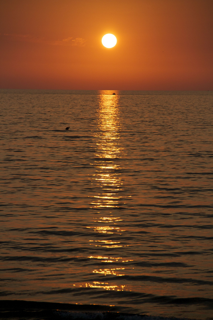 tramonto n.2 - Agropoli (SA) - 13 ottobre 2018