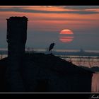 Tramonto nel Delta del Po