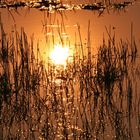 Tramonto nel delta dell'Okawango