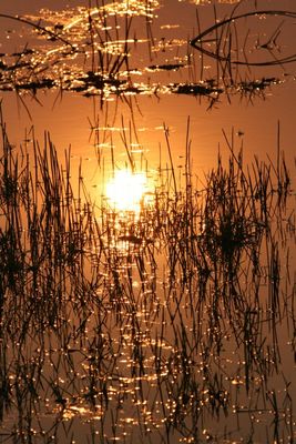Tramonto nel delta dell'Okawango